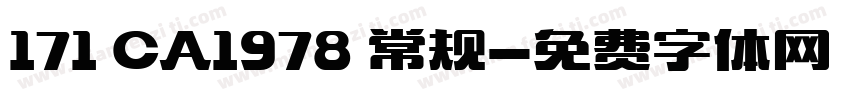 171 CA1978 常规字体转换